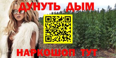 шишки Балашиха