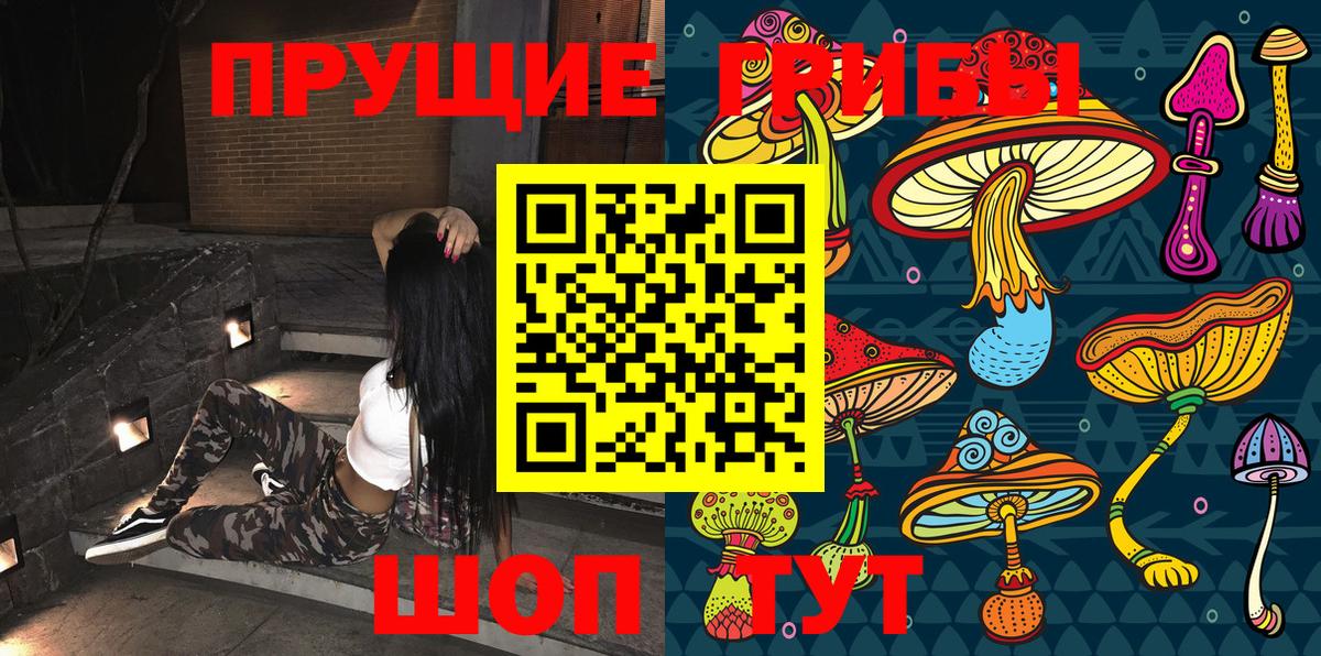 Вышний Волочёк  Галлюциногенные грибы прущие грибы  где найти   Вход с VPN 