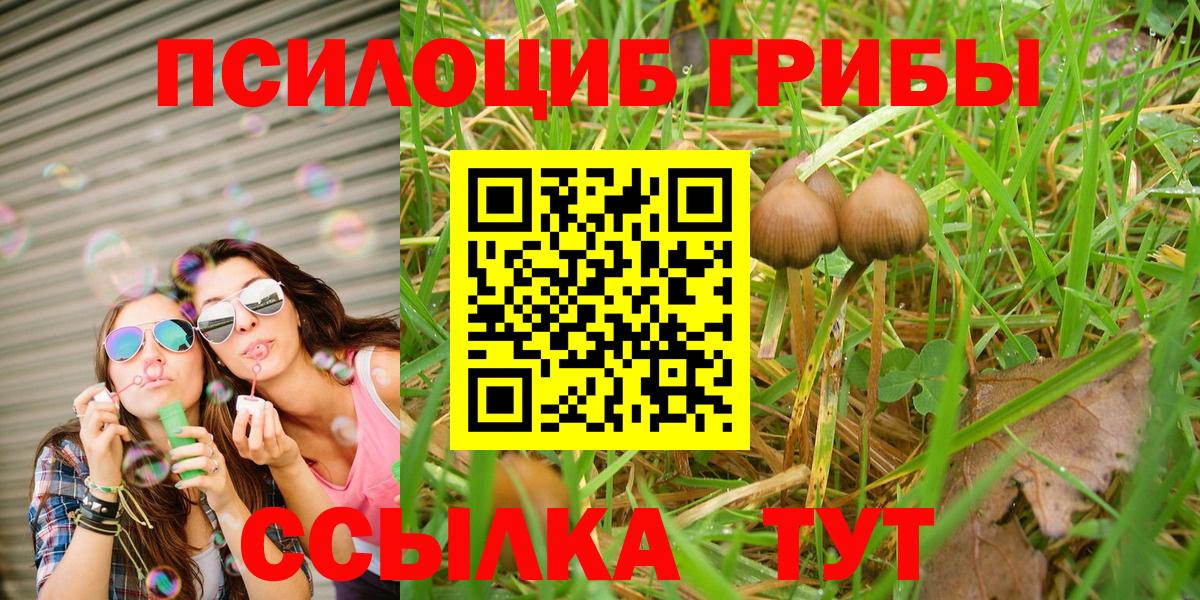 Псилоцибиновые грибы GOLDEN TEACHER Вышний Волочёк